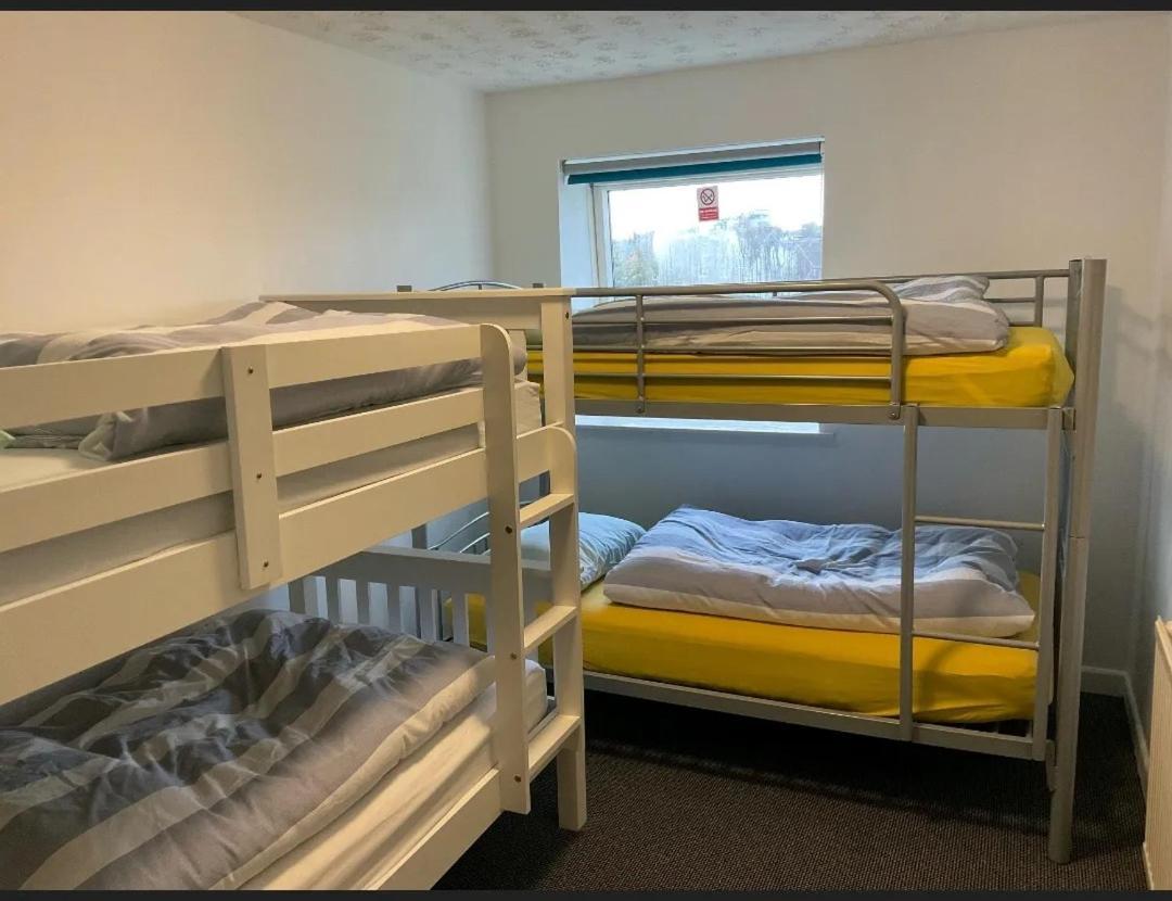 New Quay Blue Room Hostel Newquay מראה חיצוני תמונה