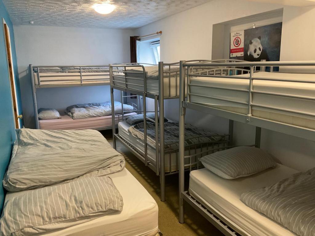 New Quay Blue Room Hostel Newquay מראה חיצוני תמונה